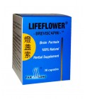 Lifeflower® Breviscapini Brain Formula (Deng Zhan Su) 